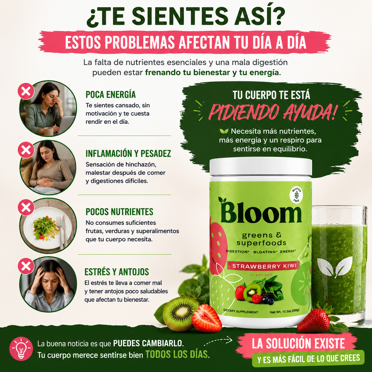 BLOOM Greens & Superfoods Nutrición