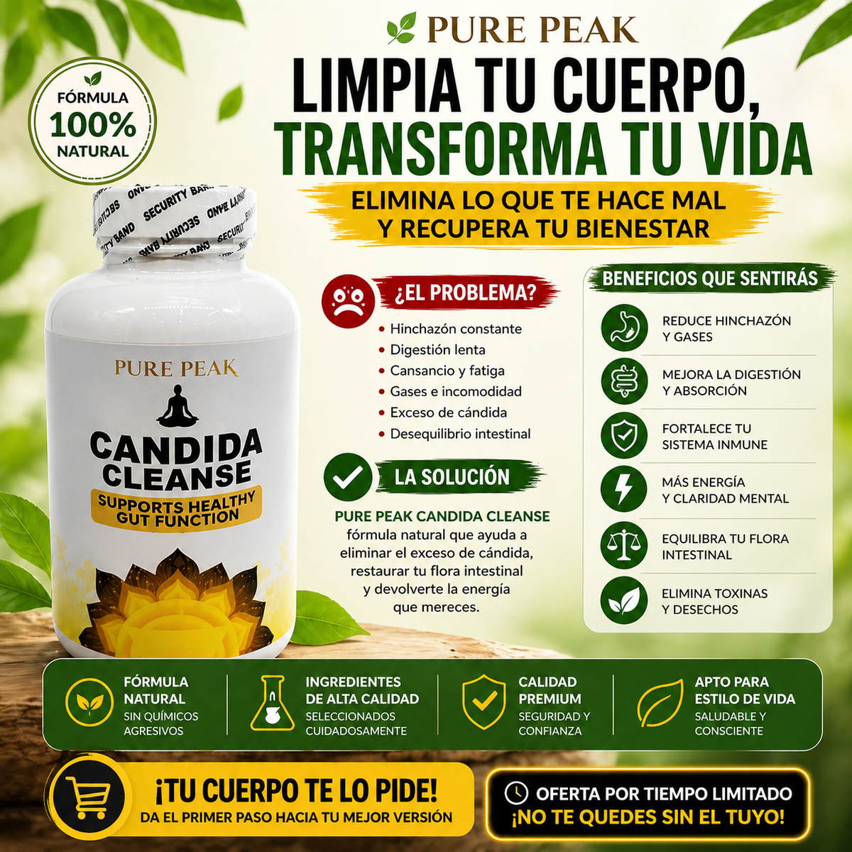 Candida Cleanse Limpieza intestinal